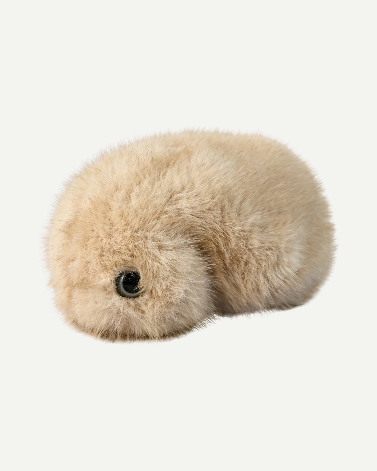 Moququ
